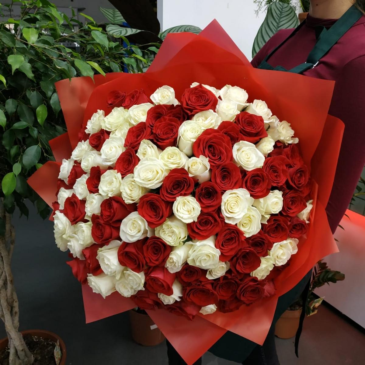 Букет из 101 розы (красные и белые розы) [код товара: 111085]